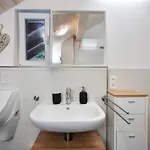 Dachsberg Holiday home Wittenschwand