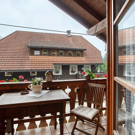 Semesterbostad Dachsberg Wittenschwand